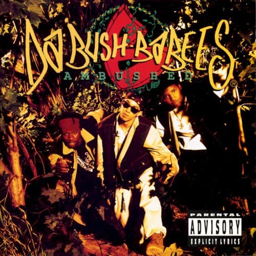 Ambushed cover