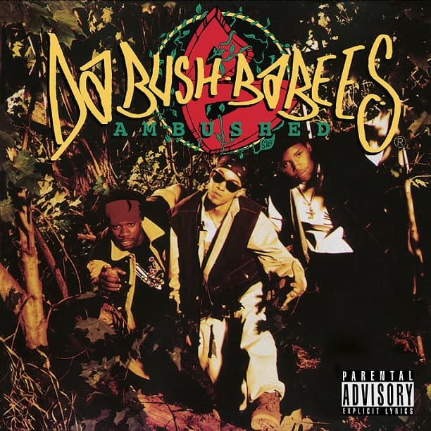 Ambushed cover